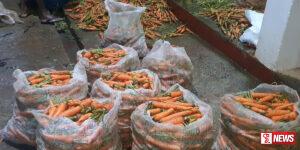 කැරට් තොග මිල 2000ට නගී