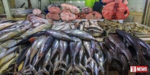 මාළු මිල අදත් ඉහළට