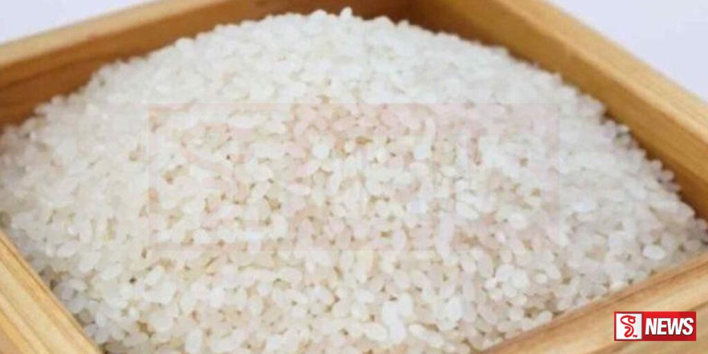 කීරි සම්බා ආනයනයට පෞද්ගලික අංශයට බලපත්ර නිකුත් කිරීමට පියවර