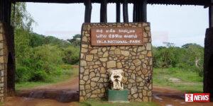 යාල වනෝද්යානයේ ප්රධාන පිවිසුම නැවත දැනුම් දෙනතුරු වසා දැමේ