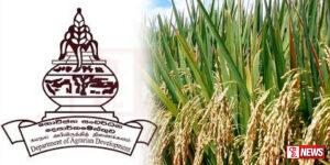 මහ කන්නයේදී වී වගාව ආශ්රීත කෘෂිකාර්මික කටයුතුවලට රු.බි. 9.6ක්