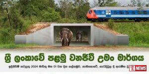 ලංකාවේ සත්තුන්ටත් උමඟක්