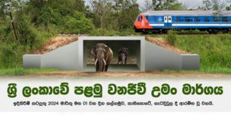 ලංකාවේ සත්තුන්ටත් උමඟක්