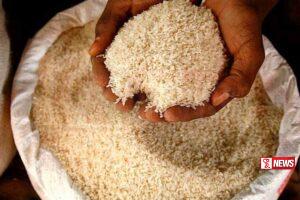 යල කන්නයේ හෙක්ටයාර් 500ක කීරි සම්බා වගා කිරීමට ව්යාපෘතියක්