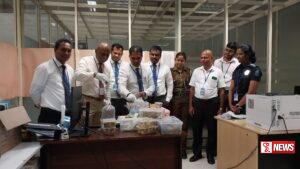 තායිලන්තයේ සිට නීතිවිරෝධී ලෙස ගෙන ආ සතුන් කටුනායක දී රේගු අත්අඩංගුවට