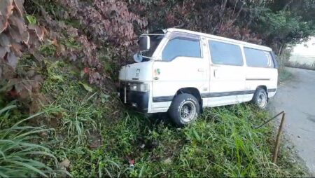 මාර්ගය හරහා දිව ගිය කදුකර කොටියෙකු බේරා ගැනිමට උත්සහ කල වැන් රථයක් අනතුරට