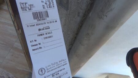 ඉලෙට්රොනික් විදුලි බිල් ජනතාවට