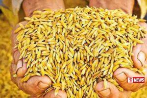 වී මිලදී ගන්න කෝටි 50ක්