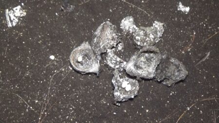 සිංගිමලේ දුම්රිය උමං මාර්ගයේ ක්රියාත්මක වැහිලිහිණි කුඩු ජාවාරම