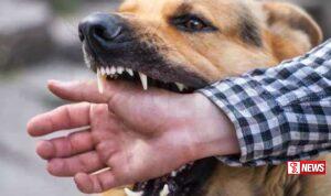 ජලභීතිකාව පුද්ගලයින් 11 දෙනෙකු ජීවිතක්ෂයට