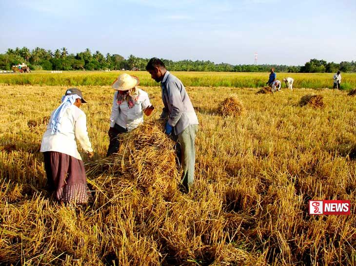 අනුරාධපුර ගම්මාන පහක් තරුණ කෘෂි ව්යවසායකත්ව වැඩසටහනට