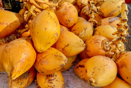 තැඹිලි ගැන වටින තීරණයක්