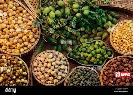 මෙරට පළමුවරට නව බීජ වියළීමේ පද්ධතියක් හඳුන්වා දෙයි