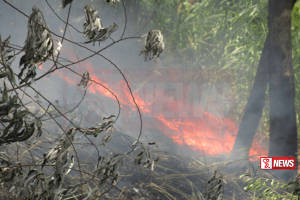 සපුගොඩ රක්ෂිතයේ ගින්නෙන් අක්කර 10ක් විනාශයි