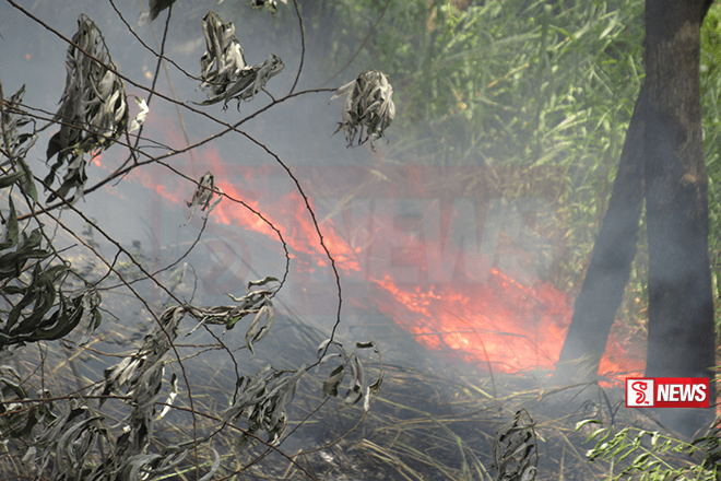 සපුගොඩ රක්ෂිතයේ ගින්නෙන් අක්කර 10ක් විනාශයි