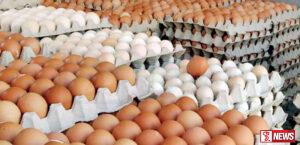 බිත්තර ආනයනයට අවසර