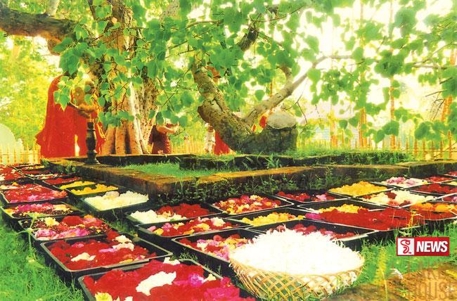 අලුත් සහල් මංගල්යය ලබන මස 6 වනදා ජය ශ්රී මහා බෝ සමිඳුන් අභියසදී