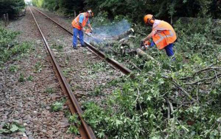 අයහපත් කාලගුණය කැලණිවැලි ගමනටත් බාධා කරයි