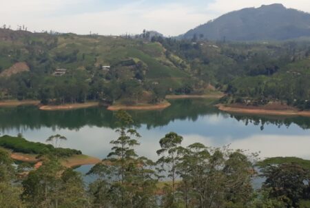 උණුසුම් කාලගුණයෙන් ජලාශ ජල මට්ටම් පහල බසී