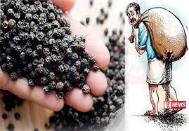 මෙරට බීජ අපනයනයට