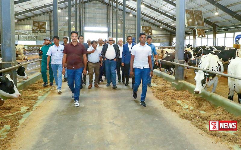 ජනපති අඹේවෙල යයි