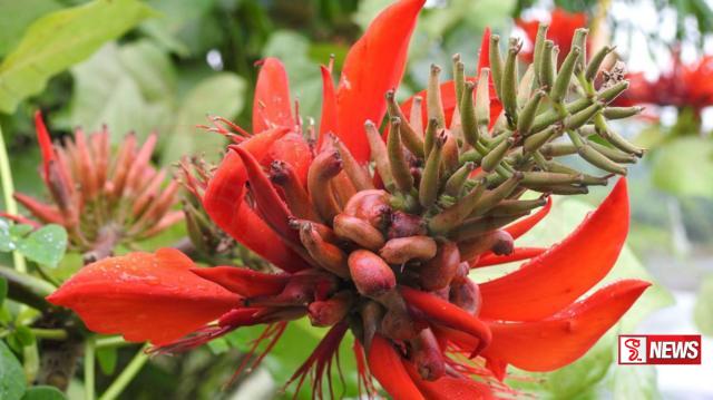 එරබදු ගැන කඳුලු කතාවක්