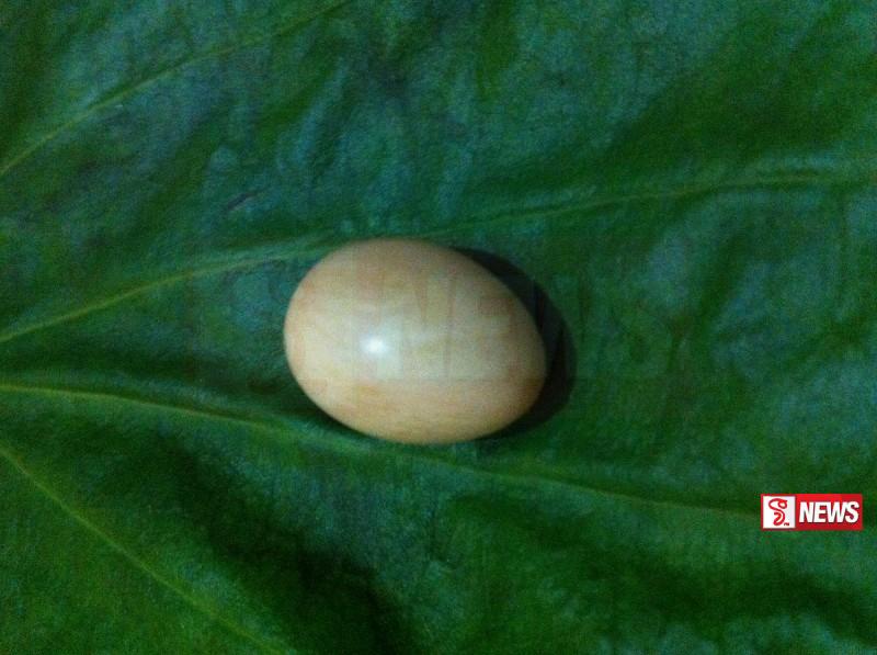 ගජමුතුවක් සමග පුද්ගලයෙකු අත්අඩංගුවට