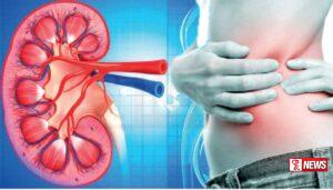 මෙරට ජනගහනයෙන් සියයට 10 ක් පමණ වකුගඩු රෝගීන්