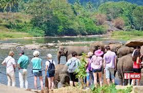 සංචාරක ක්ෂේත්රයේ නියැලෙන්නන්ගෙන් රජයට මැසිවිලි