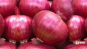 පාකිස්තානයෙන් ලොකු ලූනු ආනයනය කිරීමට පියවර