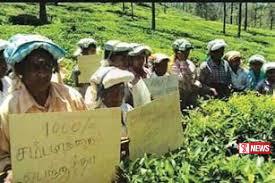 වතු සේවකයින් වර්ජනයකට සැරසෙයි