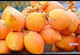 තැඹිලි ගෙඩියක මිල රුපියල් 220 දක්වා ඉහළට