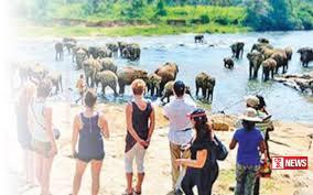 මෙරටට සංචාරකයින් ලක්ෂ 25 ක් ගෙන්වා ගැනීමේ අපේක්ෂාවක්