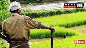 යල කන්නය සදහා රජයේ මූල්යාධාර ගොවි ගිණුම්වලට