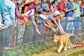 දෙහිවල ජාතික සත්වෝද්යානය වාර්තා ගත ආදායමක්