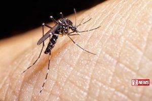 ජාතික ඩෙංගු මර්දන සතියක් නම් කෙරේ