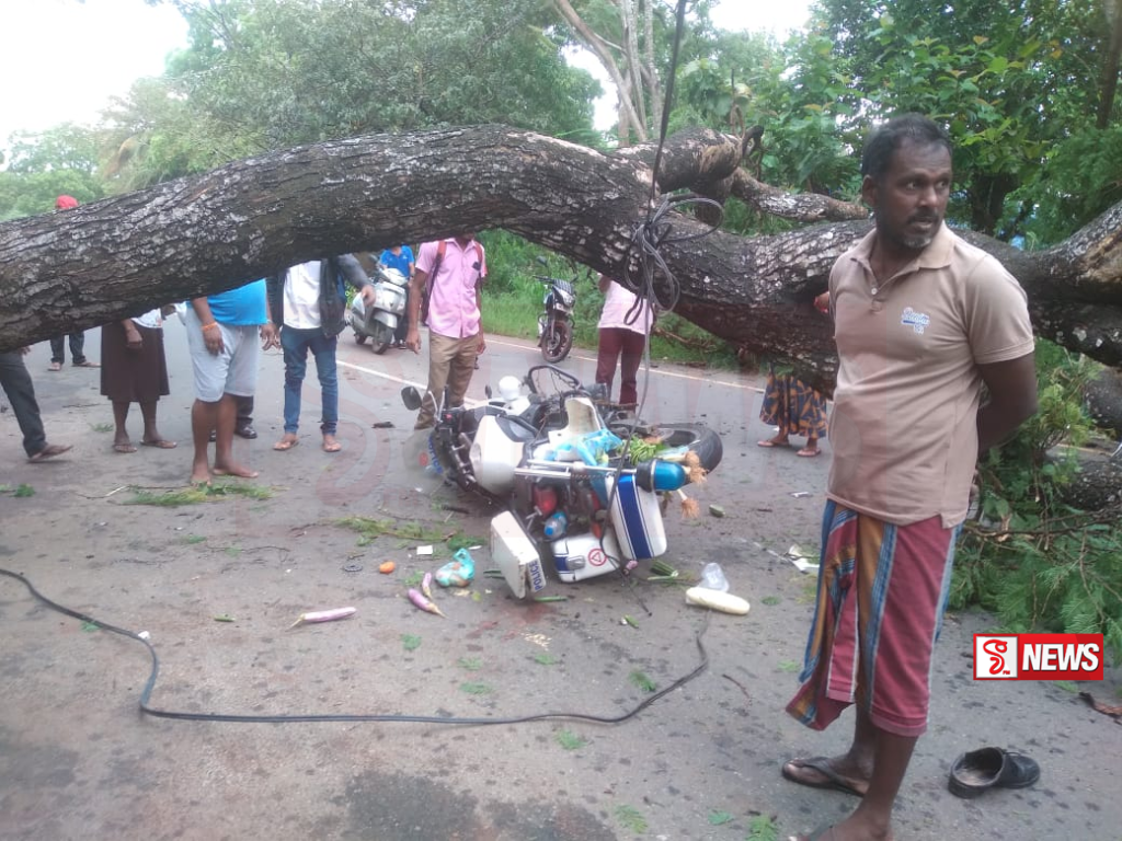 පොලිස් නිලධාරින් ගමන් කල යතුරු පැදියක් මතට ගසක් කඩා වැටේ