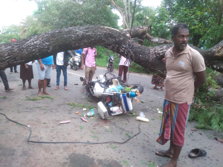 පොලිස් නිලධාරින් මතට ගසක් කඩා වැටීමේ දර්ශන (වීඩියෝ)
