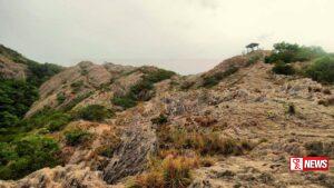 ජාතික නාමල් උයනේ උන්නතියට උරදුන් මාධ්ය ඇගයේ