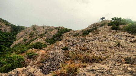 ජාතික නාමල් උයනේ උන්නතියට උරදුන් මාධ්ය ඇගයේ