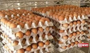 දෛනික බිත්තර පරිභෝජනය ලක්ෂ 10 ඉක්මවයි