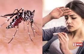 ඩෙංගු මර්දන සතියක්