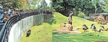 පින්නවල සත්වෝද්යානයේ ආදායම කෝටි 4 ඉක්මවයි