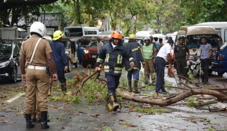 ගසක් කඩා වැටීමෙන් ගමනාගමනයට බාධා