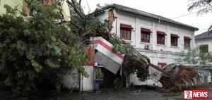 බොරැල්ලේ ගසක් කඩාවැටී විශාල වාහන තදබදයක්