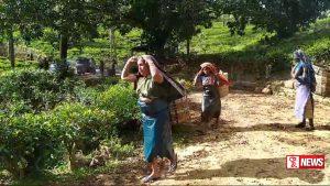 ඉහල දැමු වැටුප නොලැබුන බවට වතු කම්කරුවන්ගෙන් චෝදනා