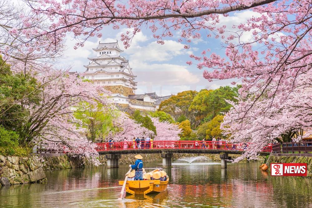 විදෙස් ශ්රමිකයින් සඳහා ජපානයේ ස්ථිර පදිංචියට  අවසර