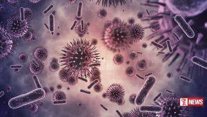 මස් කන බැක්ටීරියාව ශ්රී ලංකාවටත් ඇවිත්ද? (වීඩියෝ)