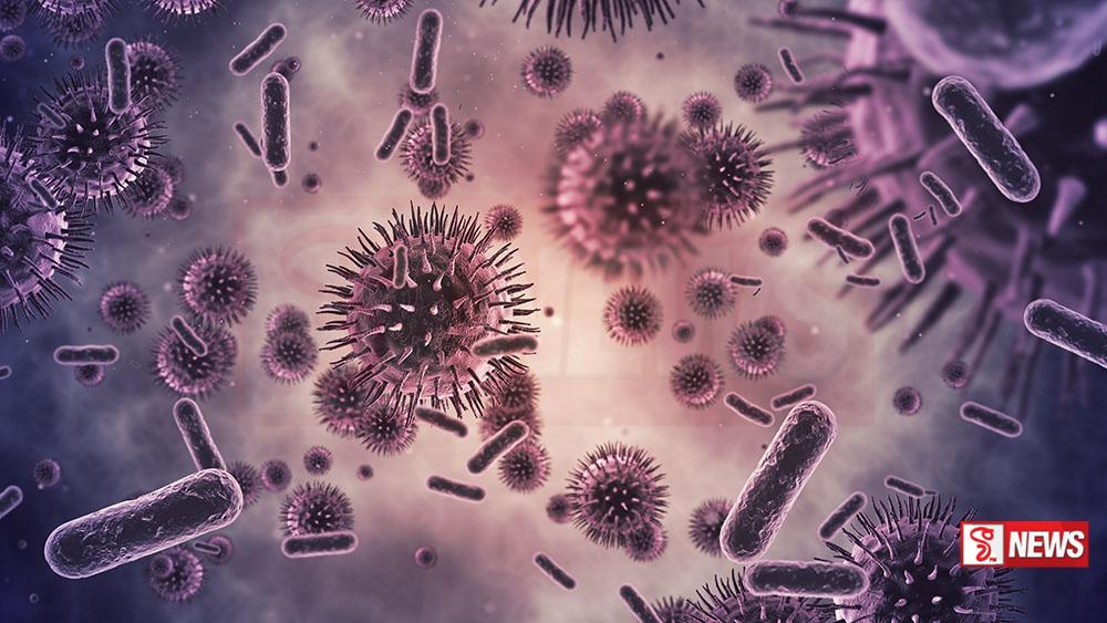 මස් කන බැක්ටීරියාව ශ්රී ලංකාවටත් ඇවිත්ද? (වීඩියෝ)