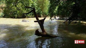 දඹුලු ඔයේ මහා පරිමාණ වැලි ජාවාරම් (වීඩියෝ)